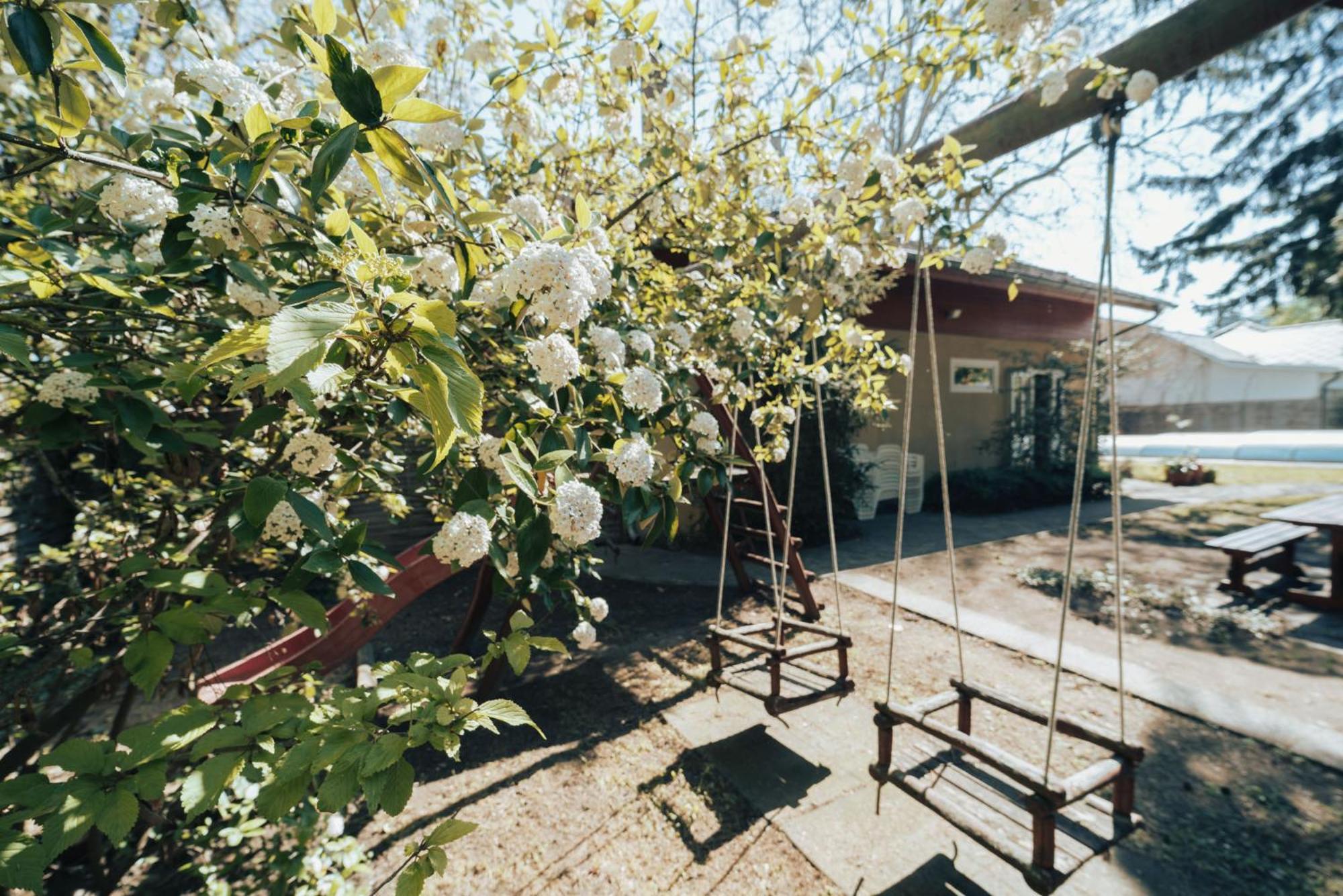 Villa Dorottya Balatonföldvár 외부 사진